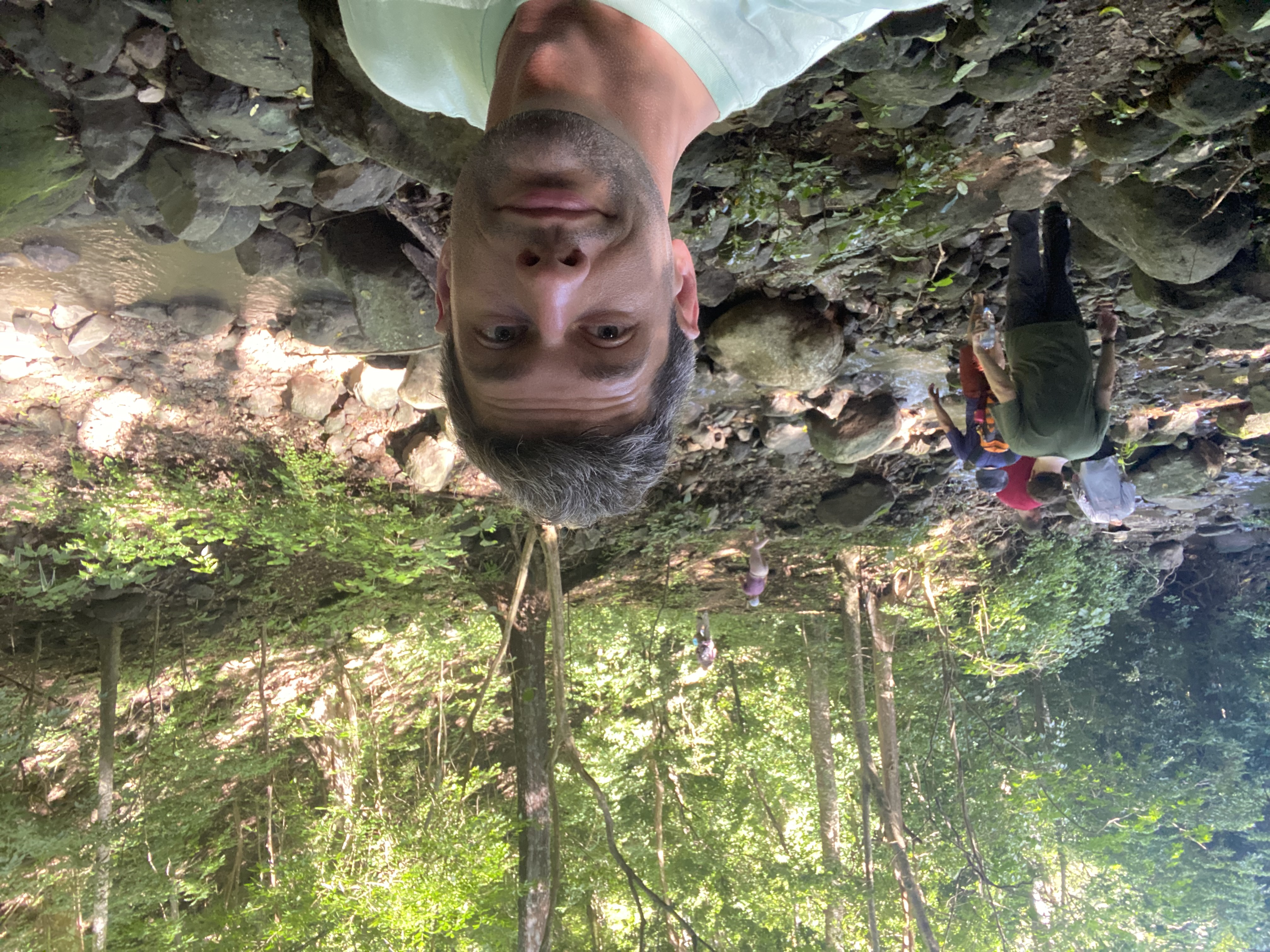 Preview for Evergreen Collective