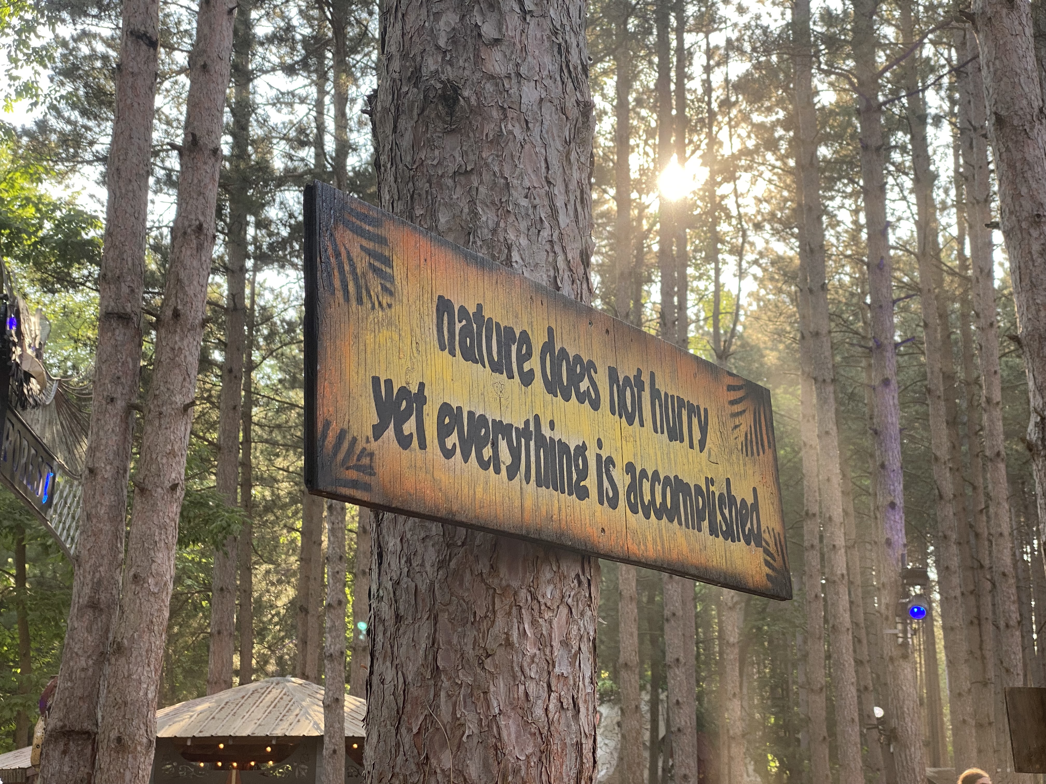 Preview for Obstacles to Focus